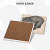 Square Ceramic Coasters 6 pcs squirrel fox and Bears